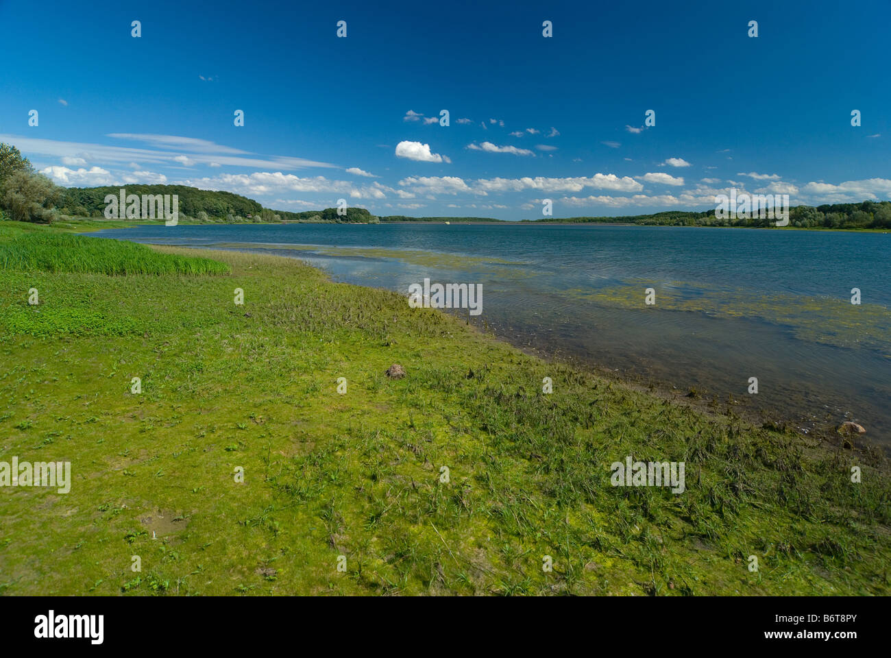 The michelbach lake in the Vosges mountains, france, europe Stock Photo