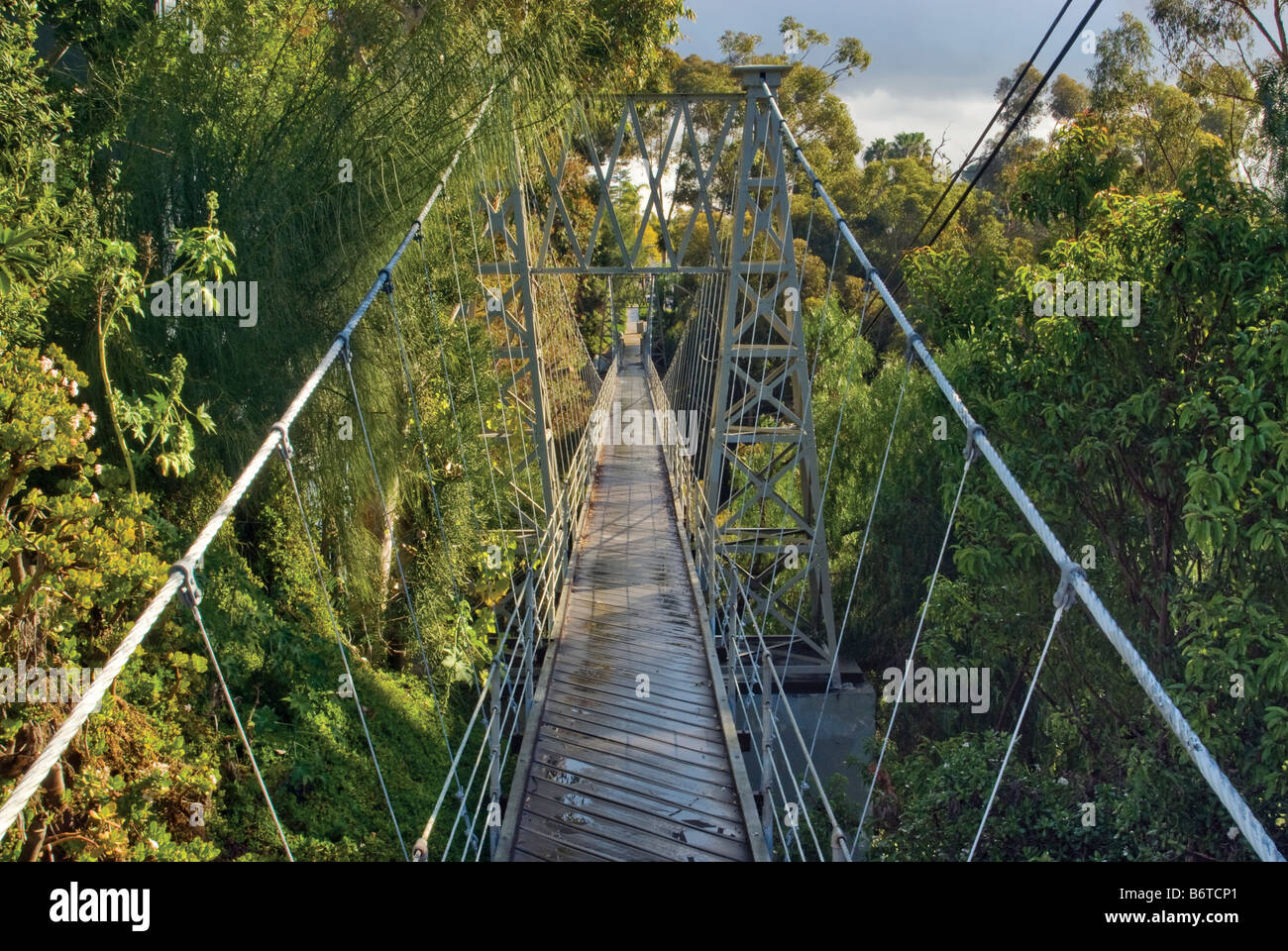 Spruce Bridge, pedestrian suspension bridge over Kate Sessions Canyon