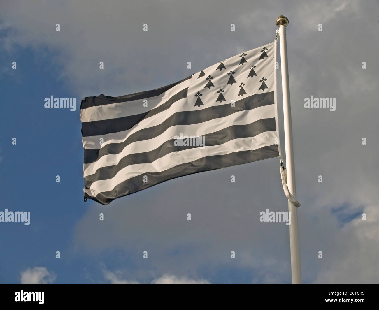 flag of Brittany blowing in wind Stock Photo - Alamy