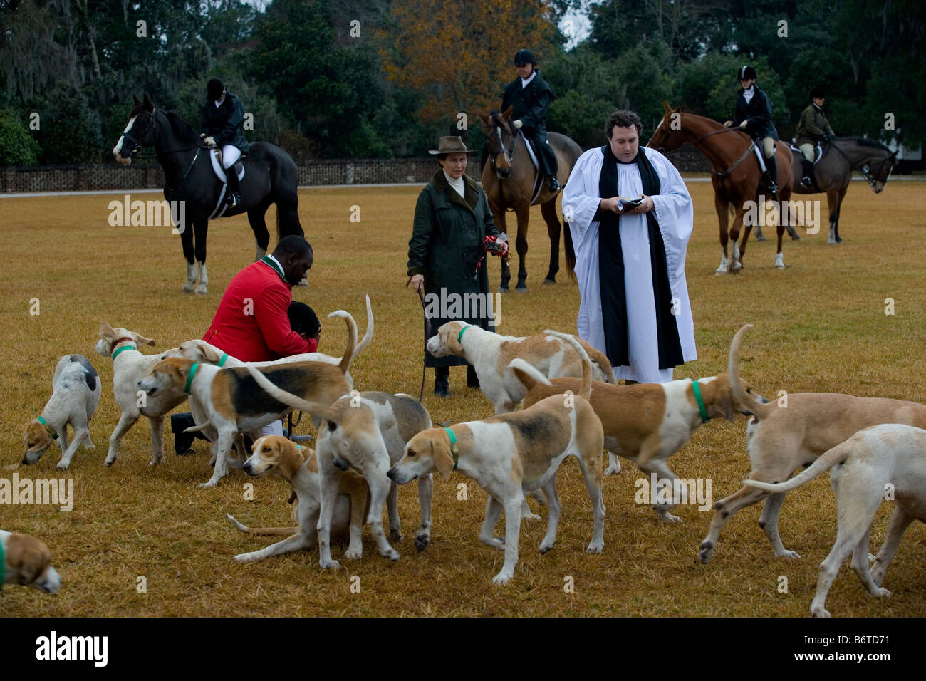 Middleton Hunt Blessing of the Hounds during before the start of the fox hunting ...