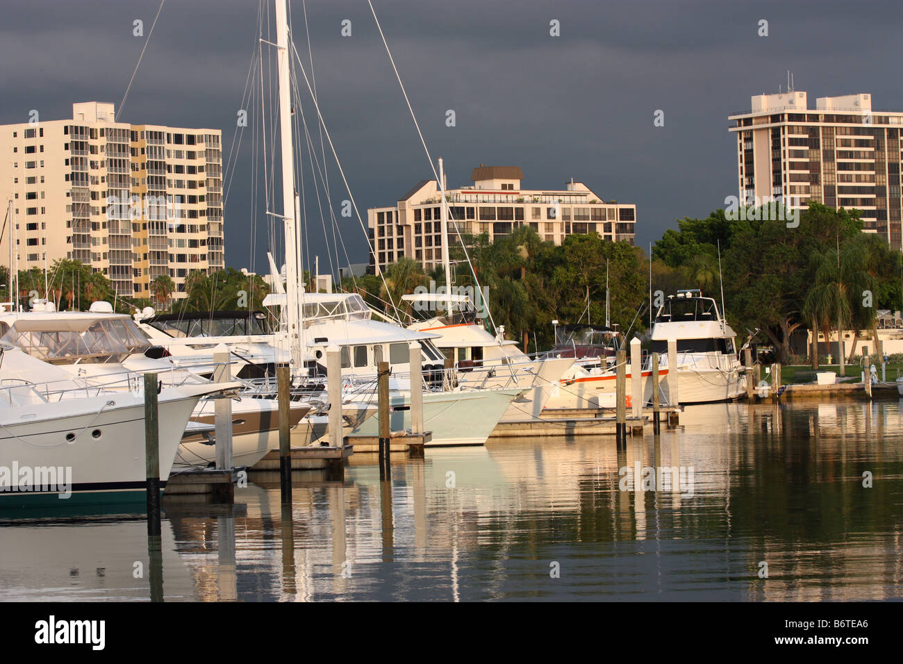 Boat marina with condos and palm trees in background in Sarasota Florida Stock Photo