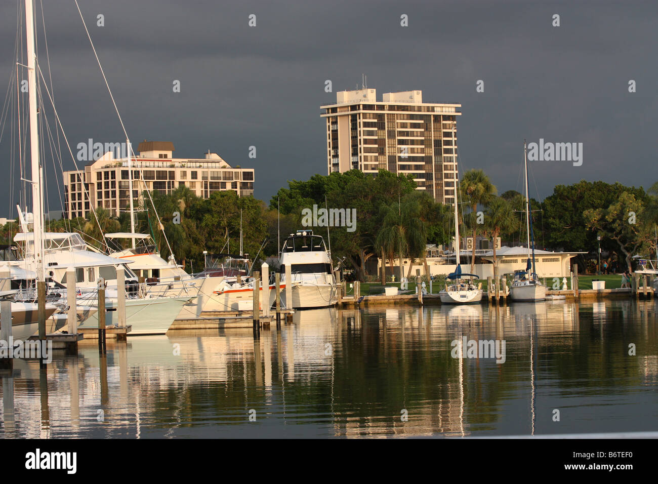 Sarasota Florida boat marina Stock Photo Alamy
