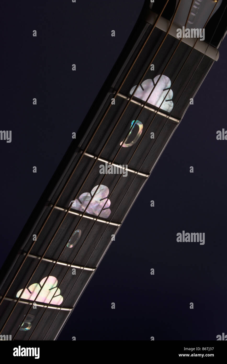 Dobro steel guitar with elaborate neck inlay Stock Photo Alamy