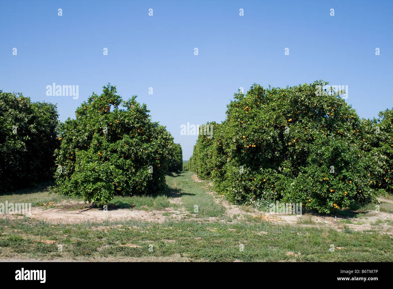 Showing rows hi-res stock photography and images - Alamy