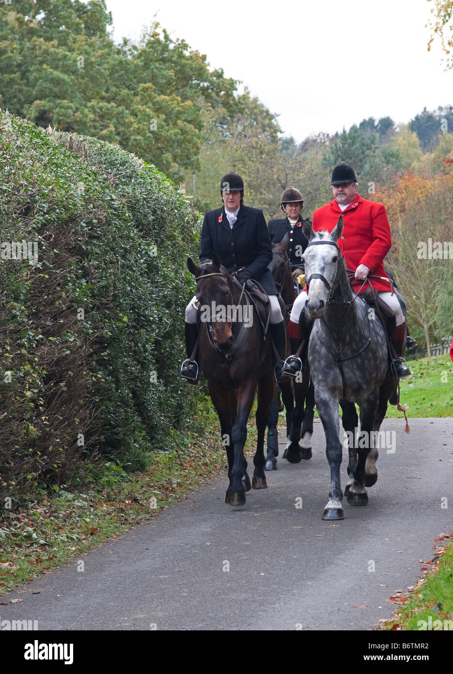 Whipper in foxhounds hi-res stock photography and images - Alamy