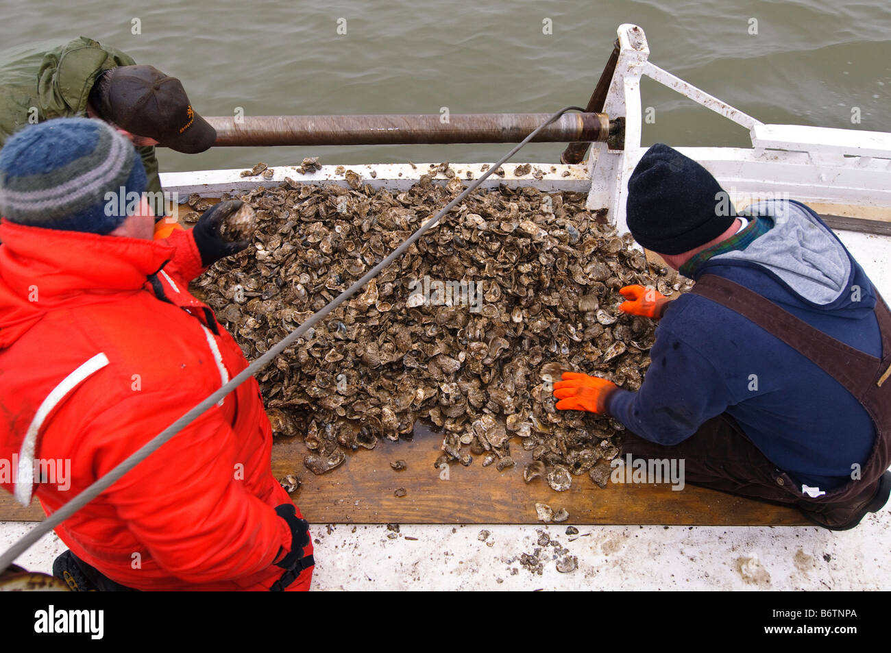 Annapolis Maryland, the last day of oyster season aboard the Skipjack