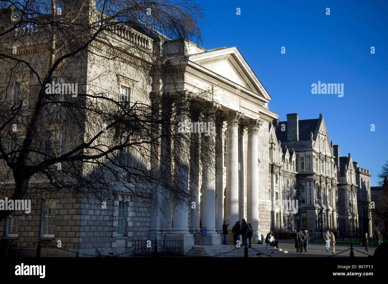TRINITY COLLEGE DUBLIN LANGUAGE REQUIREMENTS visual data 8