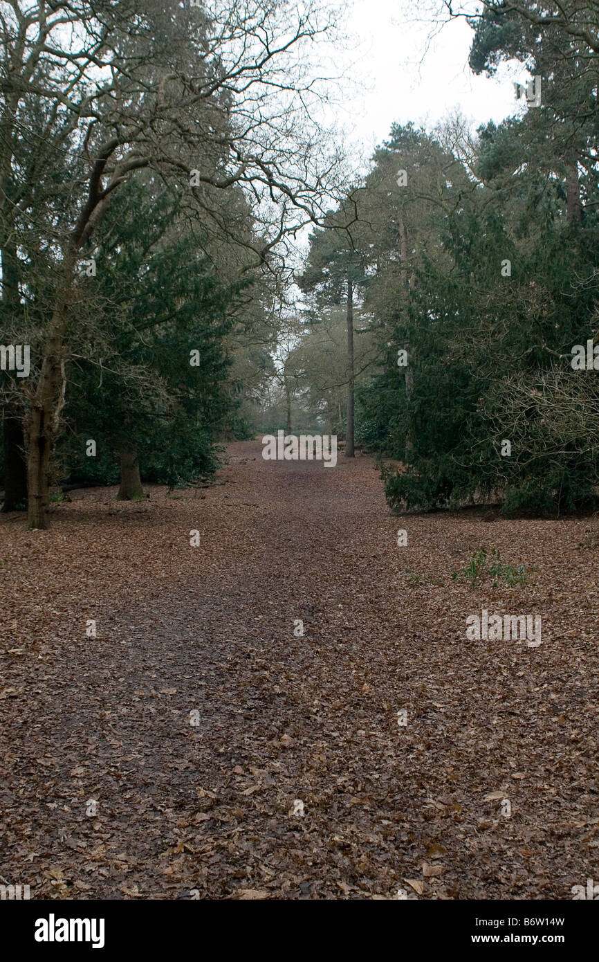 Path on St Anns Hill, Chertsey Stock Photo Alamy