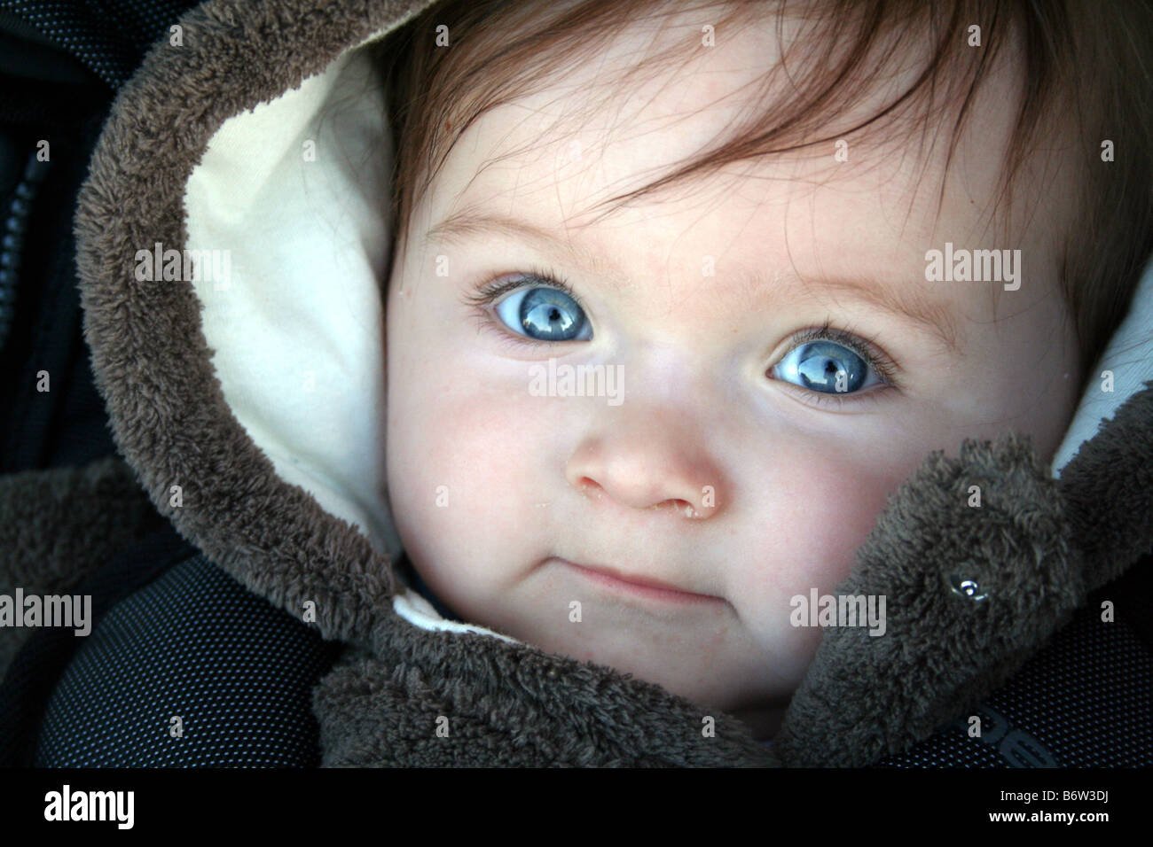 Young baby in snow suit looking beautiful and cute smiling with brown hair and blue eyes Stock Photo