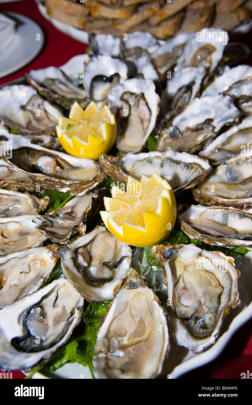 Oysters shell shells hires stock photography and images Alamy