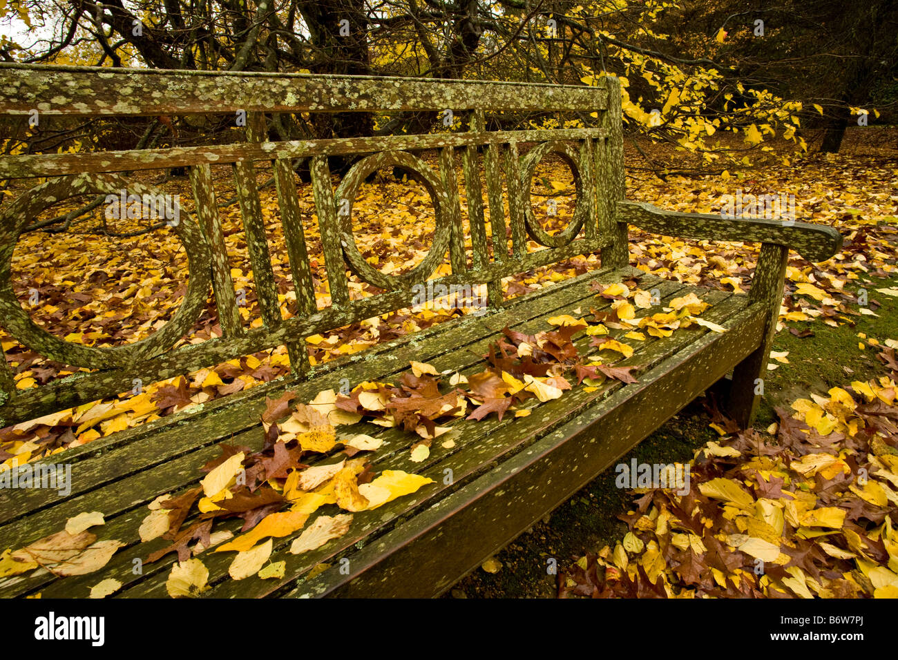 Garden bench seat covered in autumnal leaves Stock Photo - Alamy