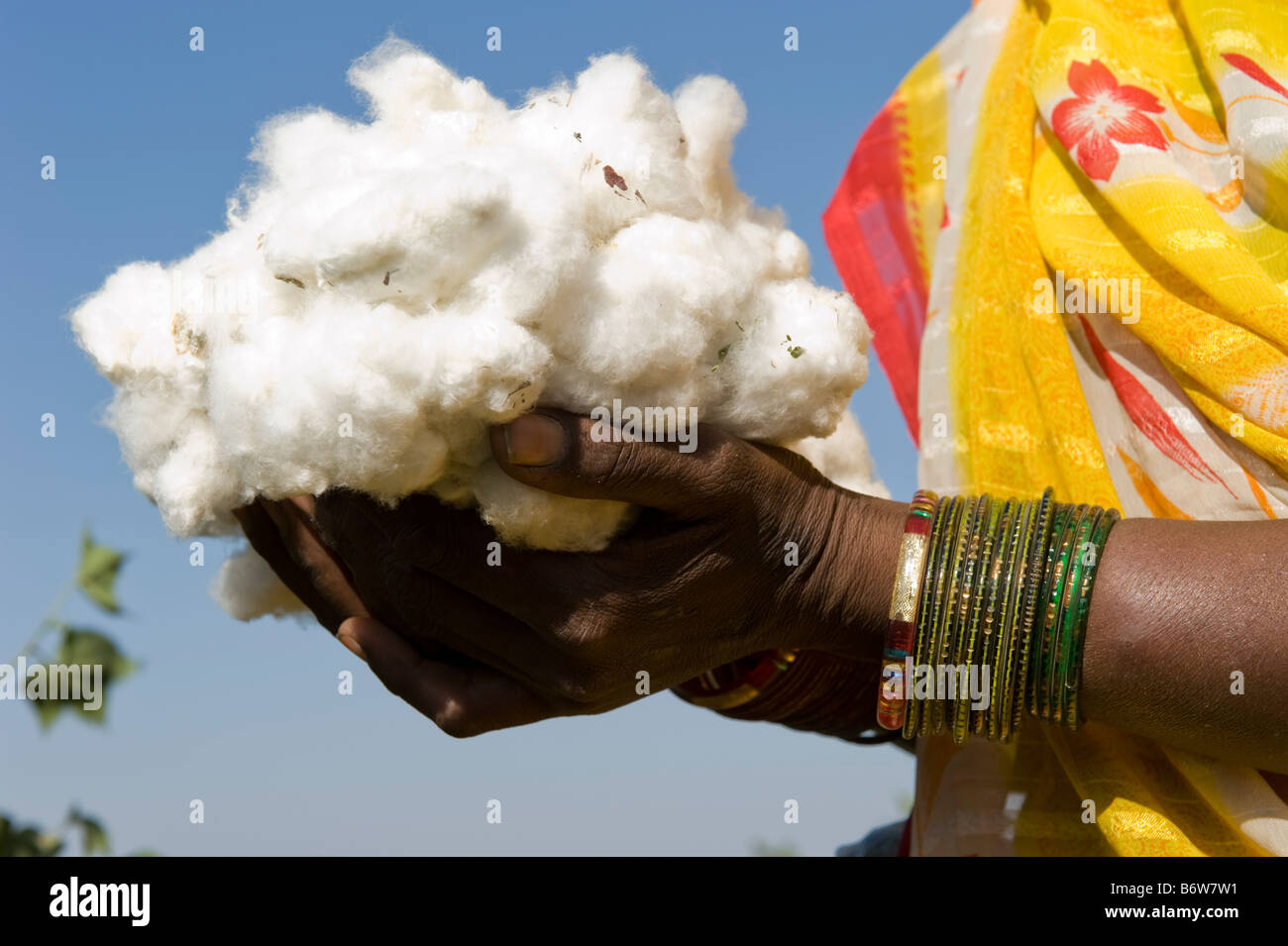India M.P. Khargone , fair trade and organic cotton farming Stock Photo
