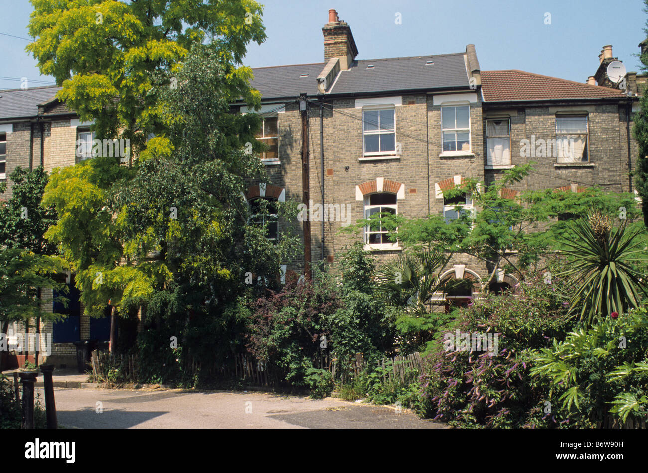 Bonnington Square, Vauxhall, London SW8 Stock Photo Alamy