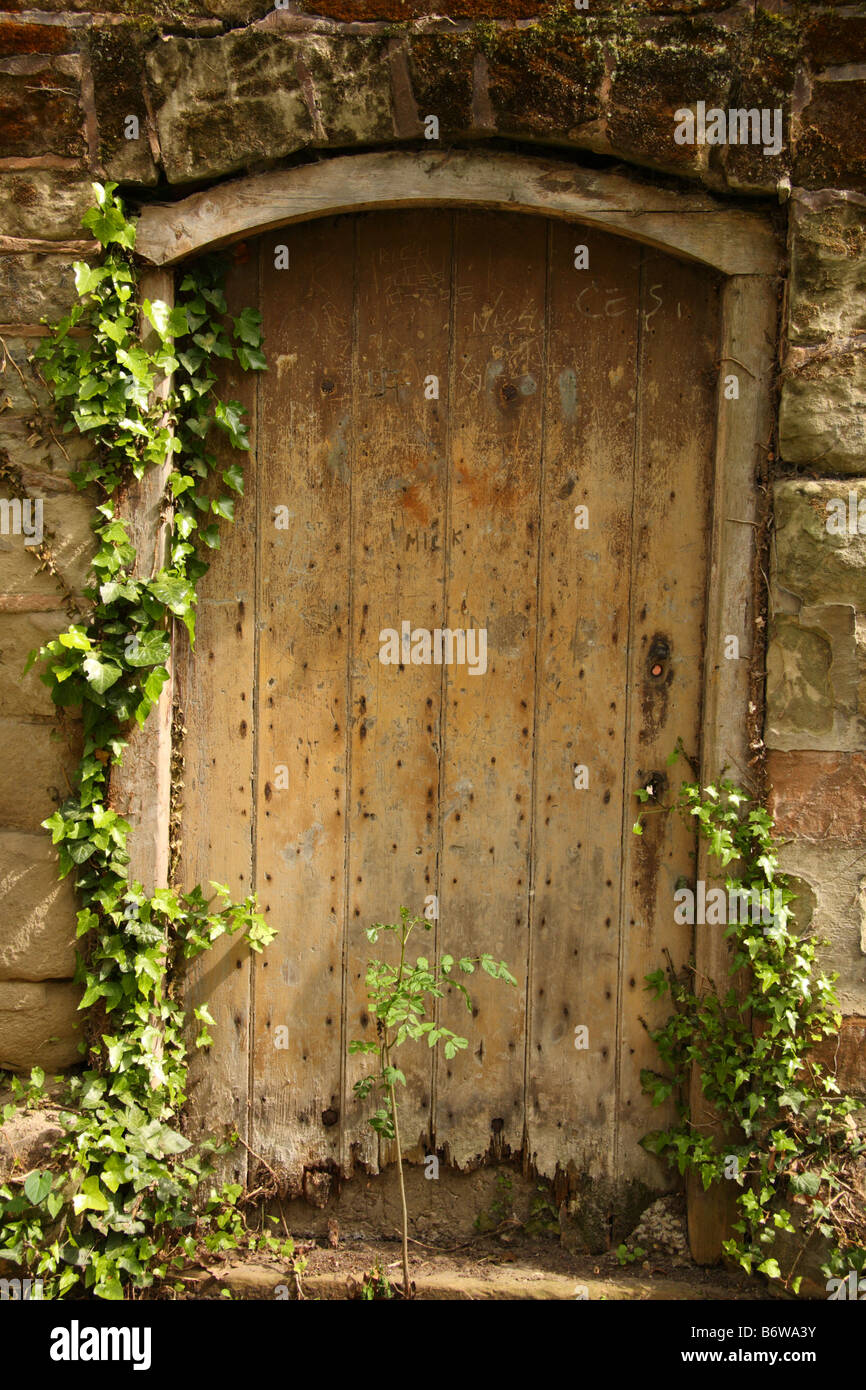 Wooden garden door. Old door. Stock Photo