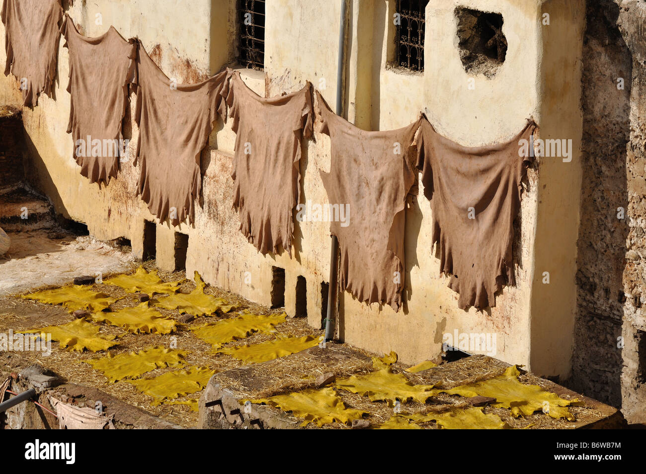 Dyed Animal Skins High Resolution Stock Photography and Images - Alamy