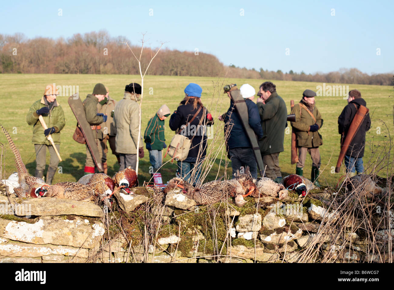 People standing around with pheasants lined up on a wall on a shoot in somerset, UK. Stock Photo