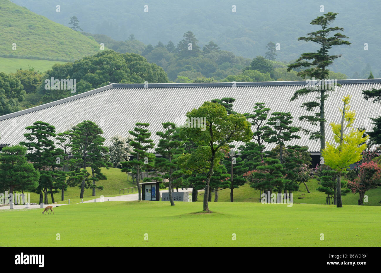Todai Ji temple and gardens, Nara JP Stock Photo