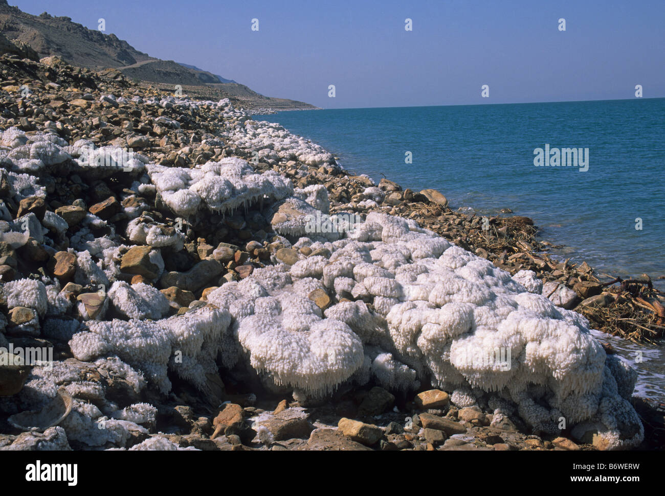 Salt Deposits On Shore Dead Sea High Resolution Stock Photography and ...