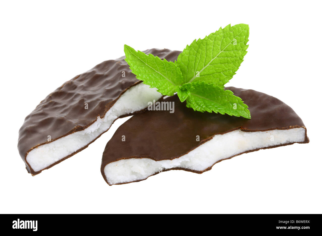 Peppermint patties and sprig of mint cut out isolated on white background Stock Photo