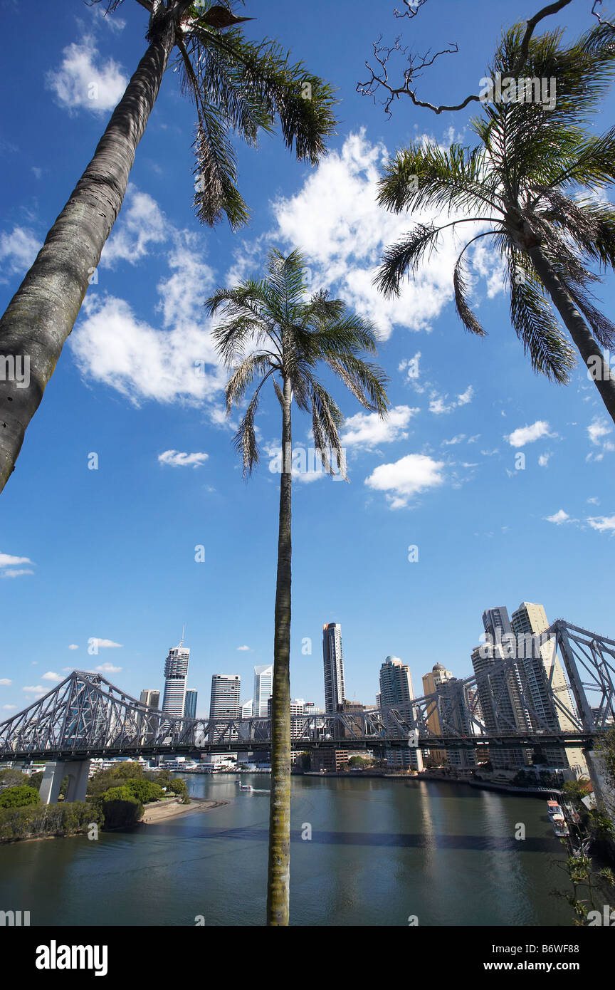 Palm Trees Story Bridge and Brisbane River Brisbane Queensland