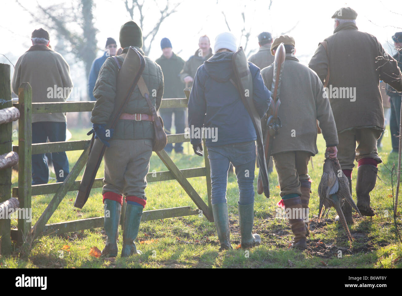 People participating in a pheasant shoot, Somerset UK. Stock Photo