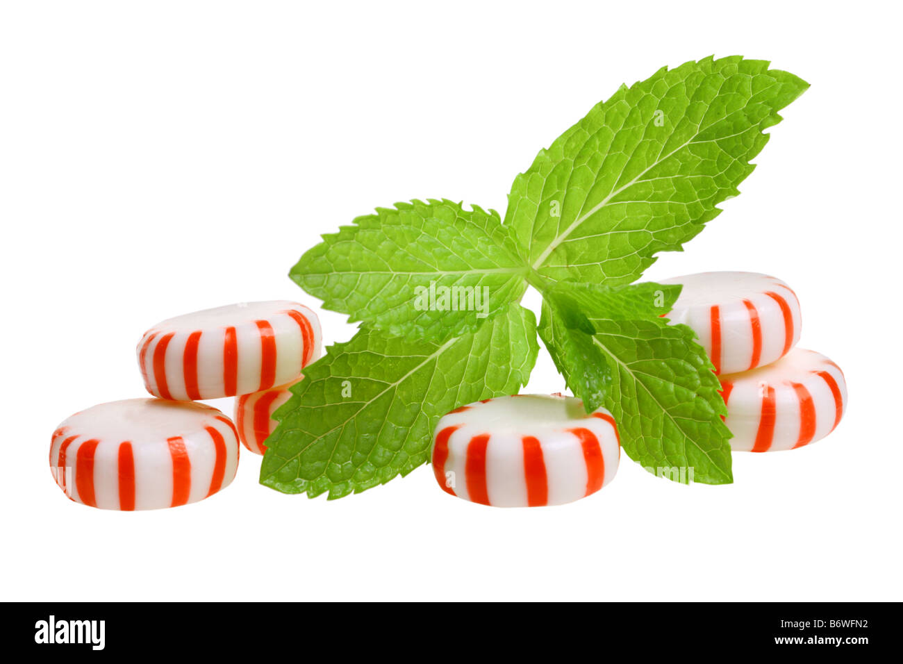 Peppermint candies and sprig of mint cut out isolated on white background Stock Photo