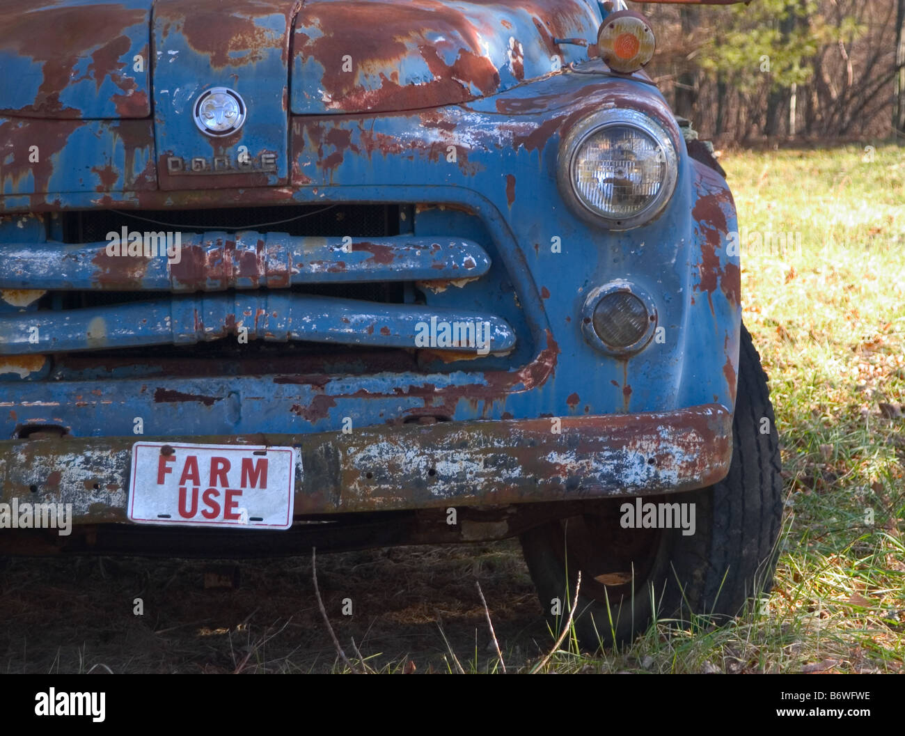 Old blue Dodge farm truck Stock Photo