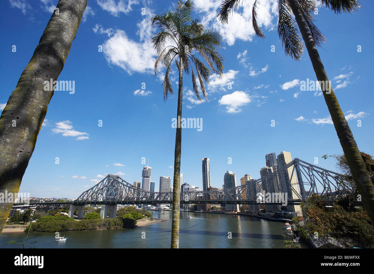 Brisbane queensland australia palm hires stock photography and images