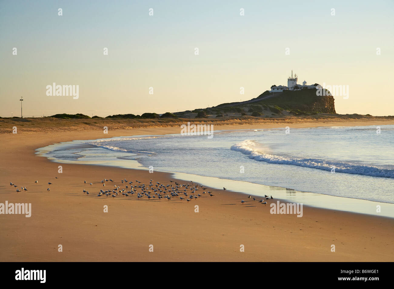 Nobbys head lighthouse hires stock photography and images Alamy