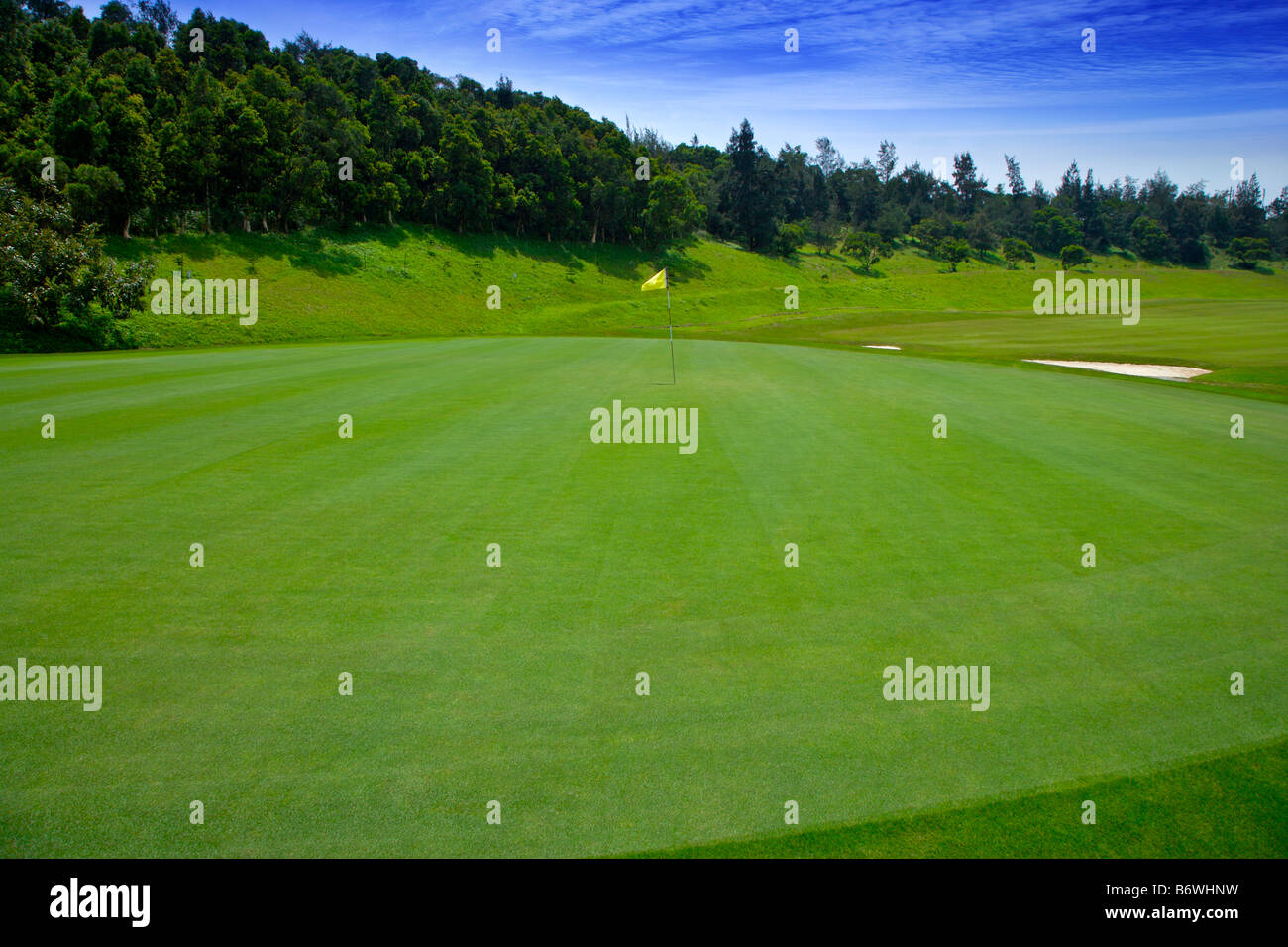 Flag in putting green Stock Photo Alamy