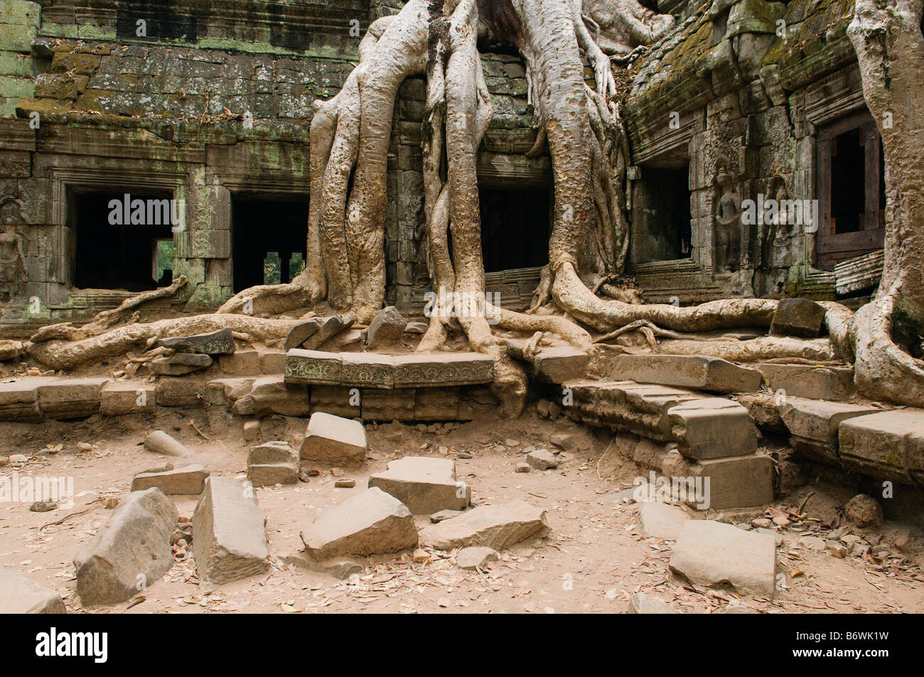 Ancient Temple with Tree Roots Covering Part of Structure Stock Photo