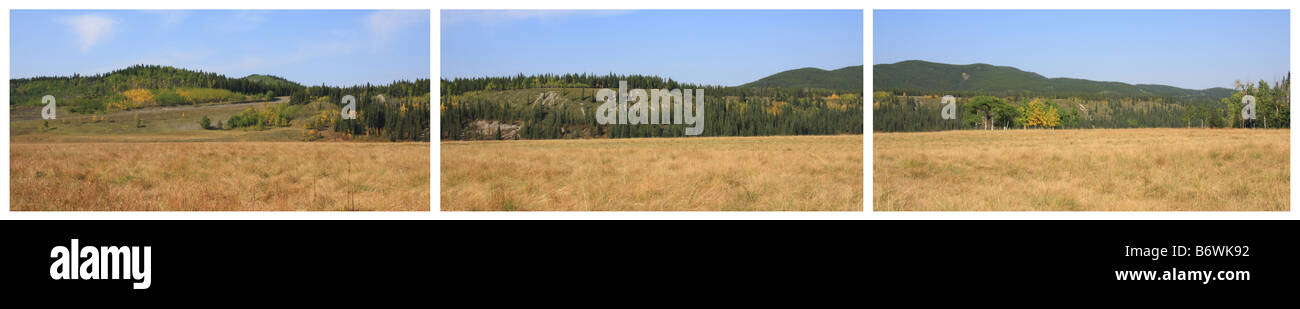 Grassy pastures of Sibbald flats in Kananaskis Country, Alberta Stock Photo