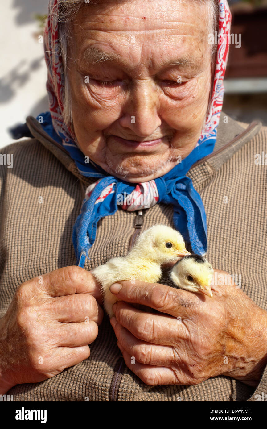 PEASANT WOMAN HOLDING POULTS IN HER HANDS Stock Photo