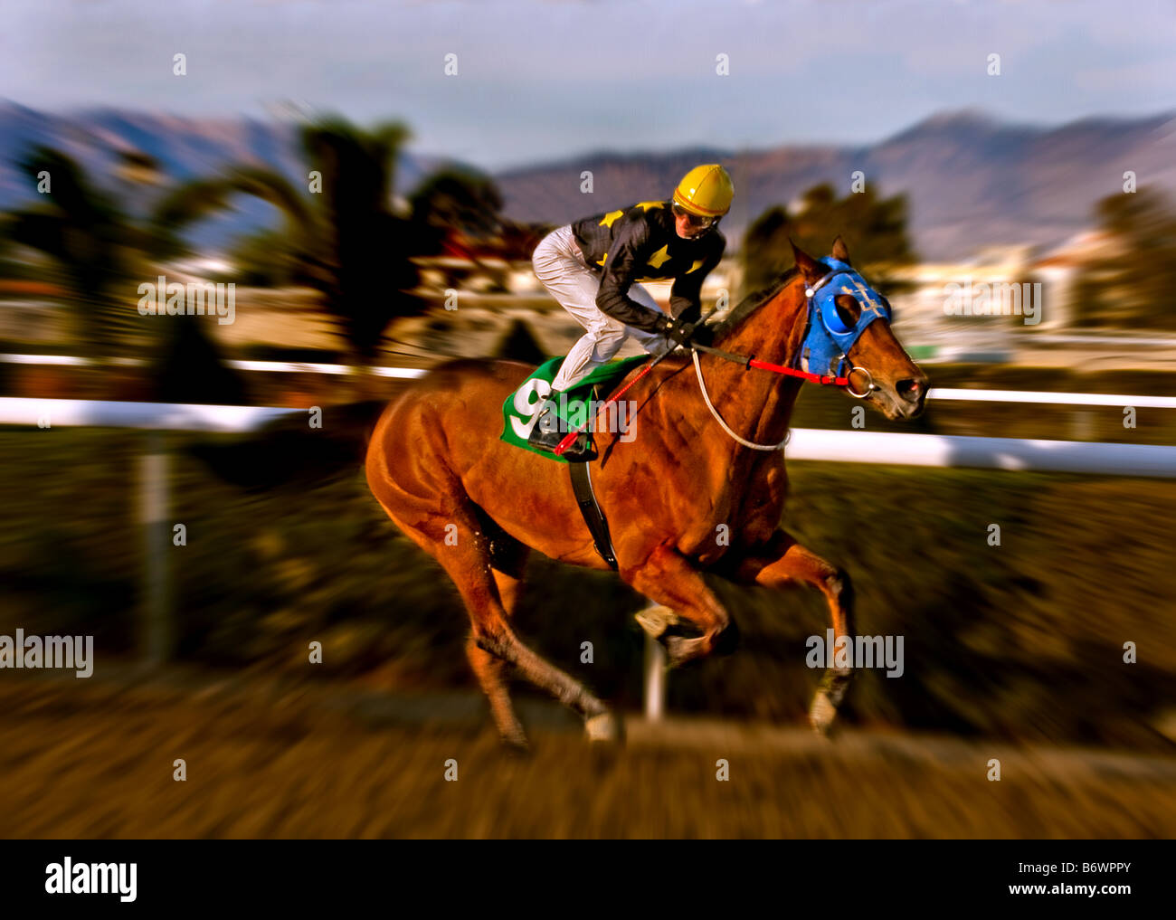 A Jockey on a racehorse running down the track in landscape orientation Stock Photo