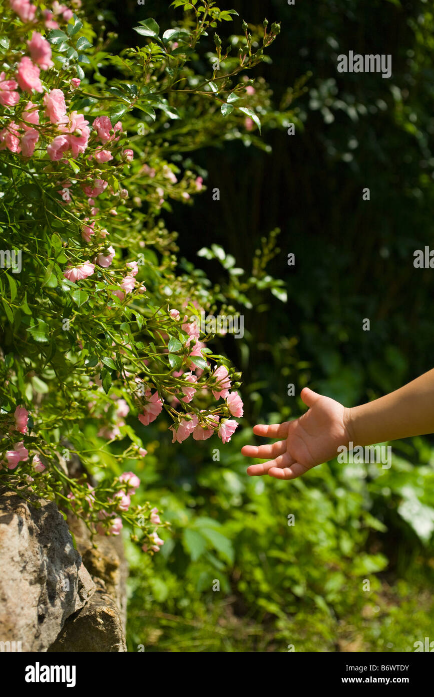 A girls hand and flowers Stock Photo Alamy