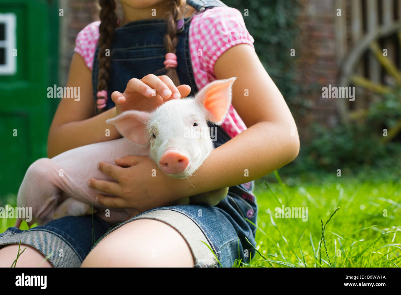 A girl holding a piglet Stock Photo
