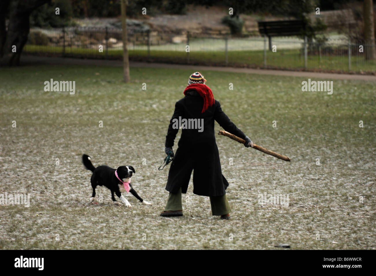A lady throws a stick for her dog in Queens Park Brighton Stock Photo
