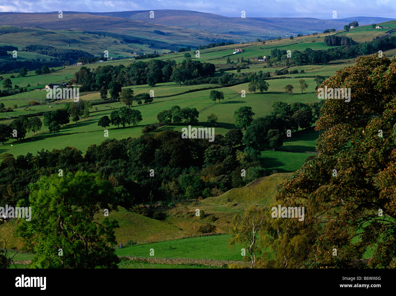 Autumnal colours near Stanhope in Weardale, County Durham Stock Photo