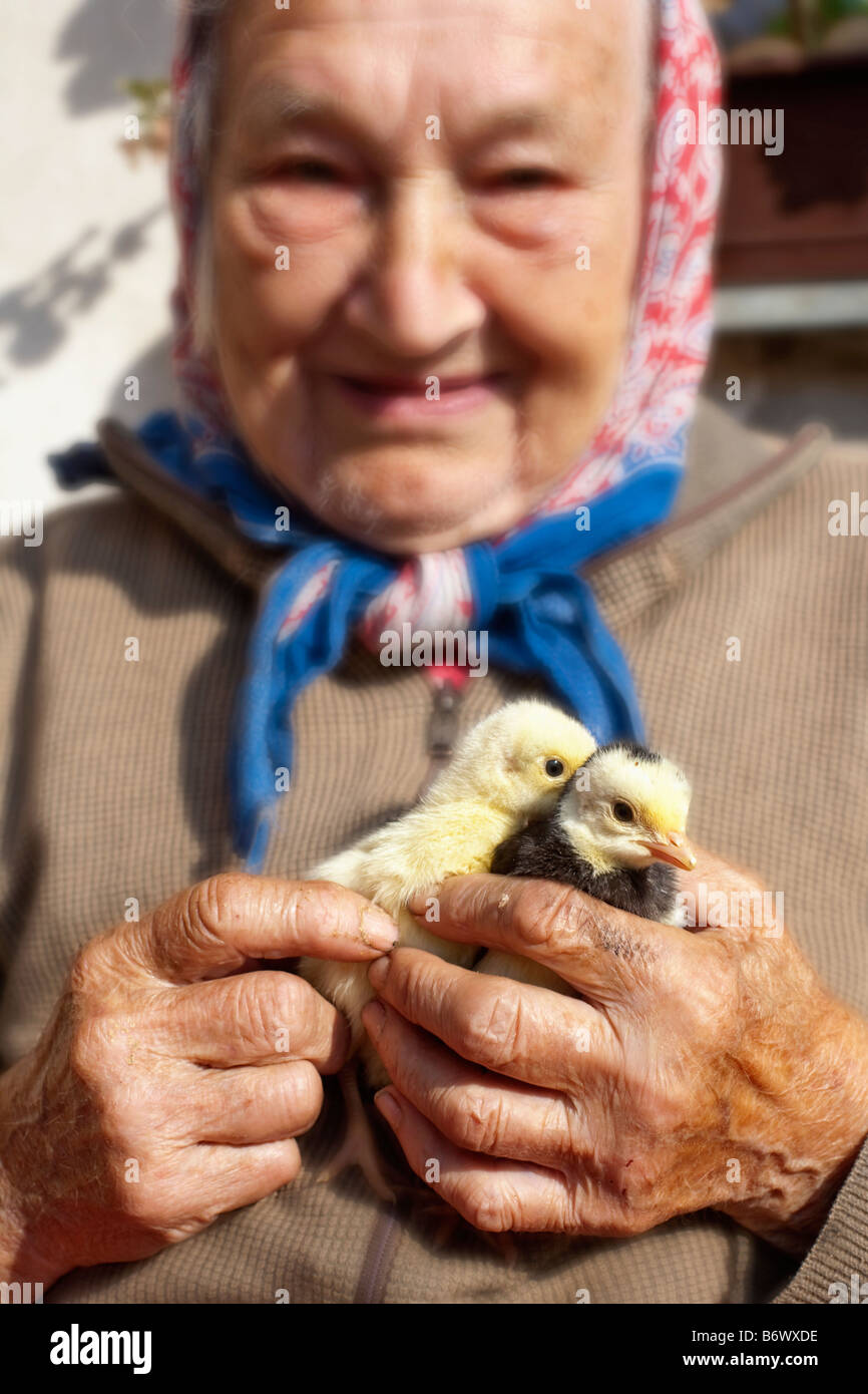 PEASANT WOMAN HOLDING POULTS IN HER HANDS Stock Photo