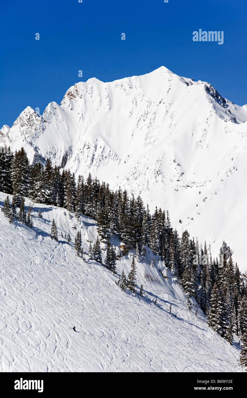 USA Utah Salt Lake City Alta Ski Resort One of the only resorts in America  for skiers only Stock Photo - Alamy