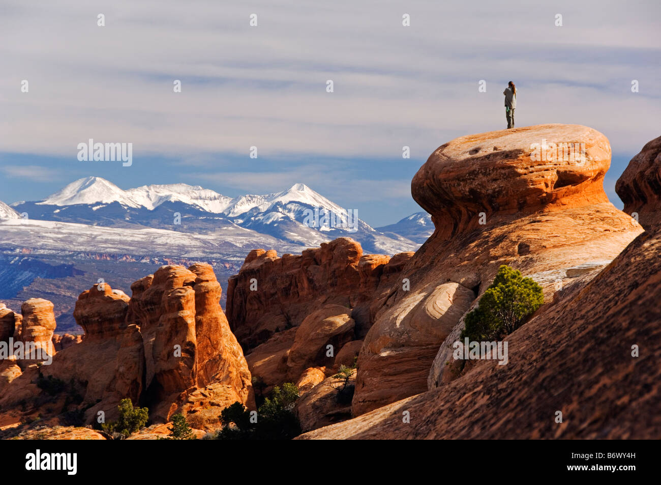 USA, Utah, Arches National Park. Manti La Sal National Forest mountains and the sandstone pinnacles at the Devils Garden Stock Photo