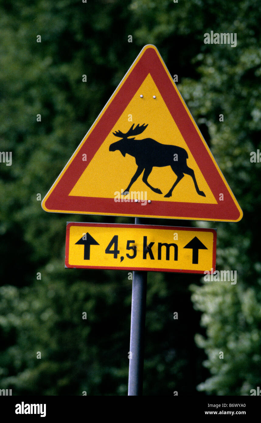 another-word-for-elk-hi-res-stock-photography-and-images-alamy