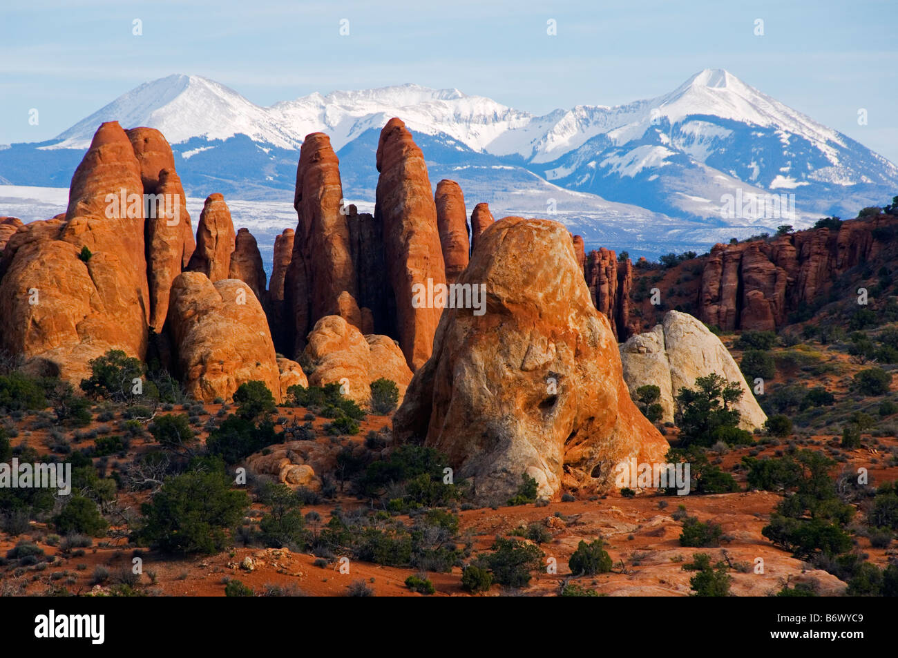 USA, Utah, Arches National Park. Manti La Sal National Forest mountains and sandstone pinnacles at the Devils Garden Stock Photo