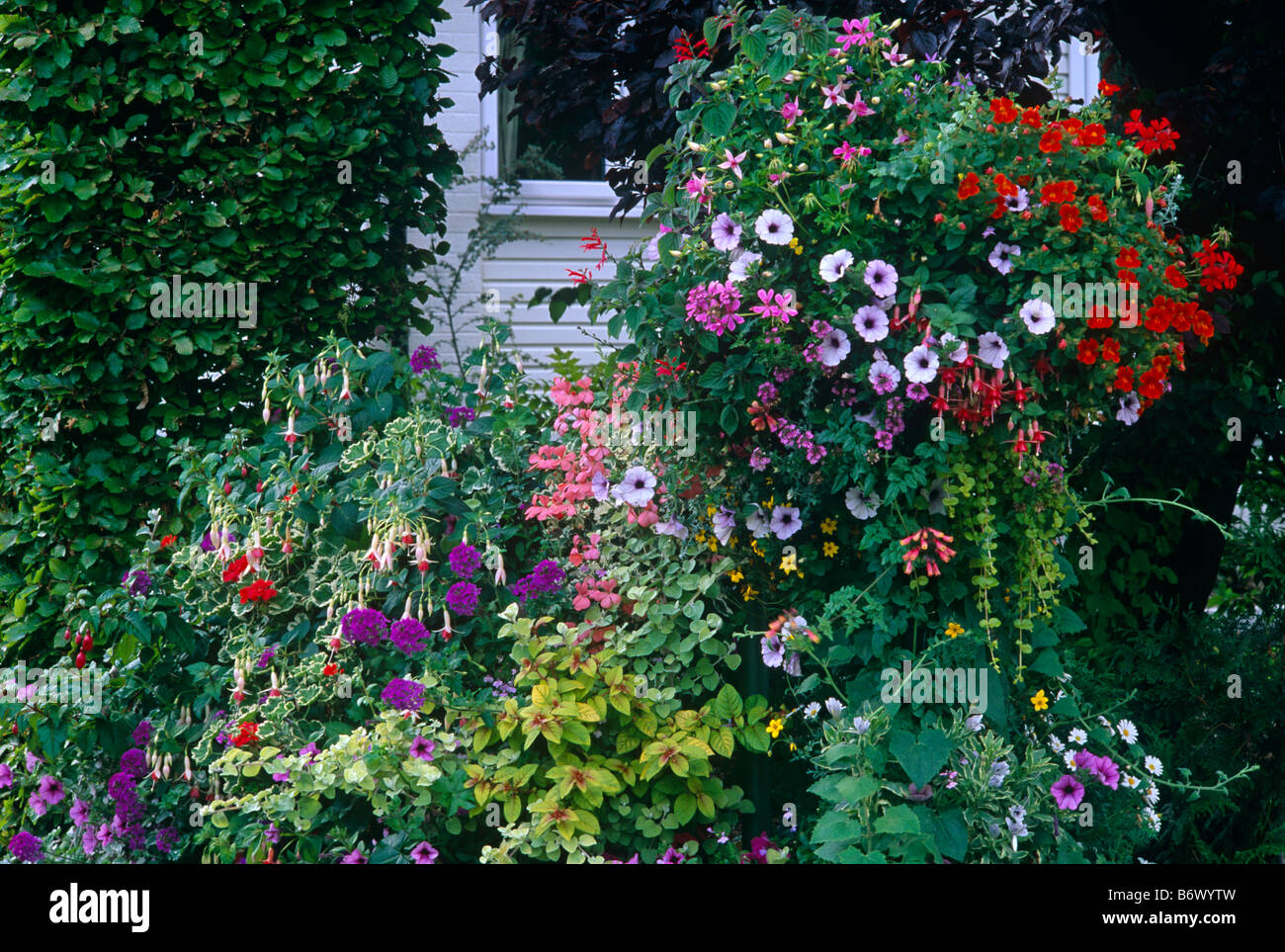 Small garden with containers Stock Photo