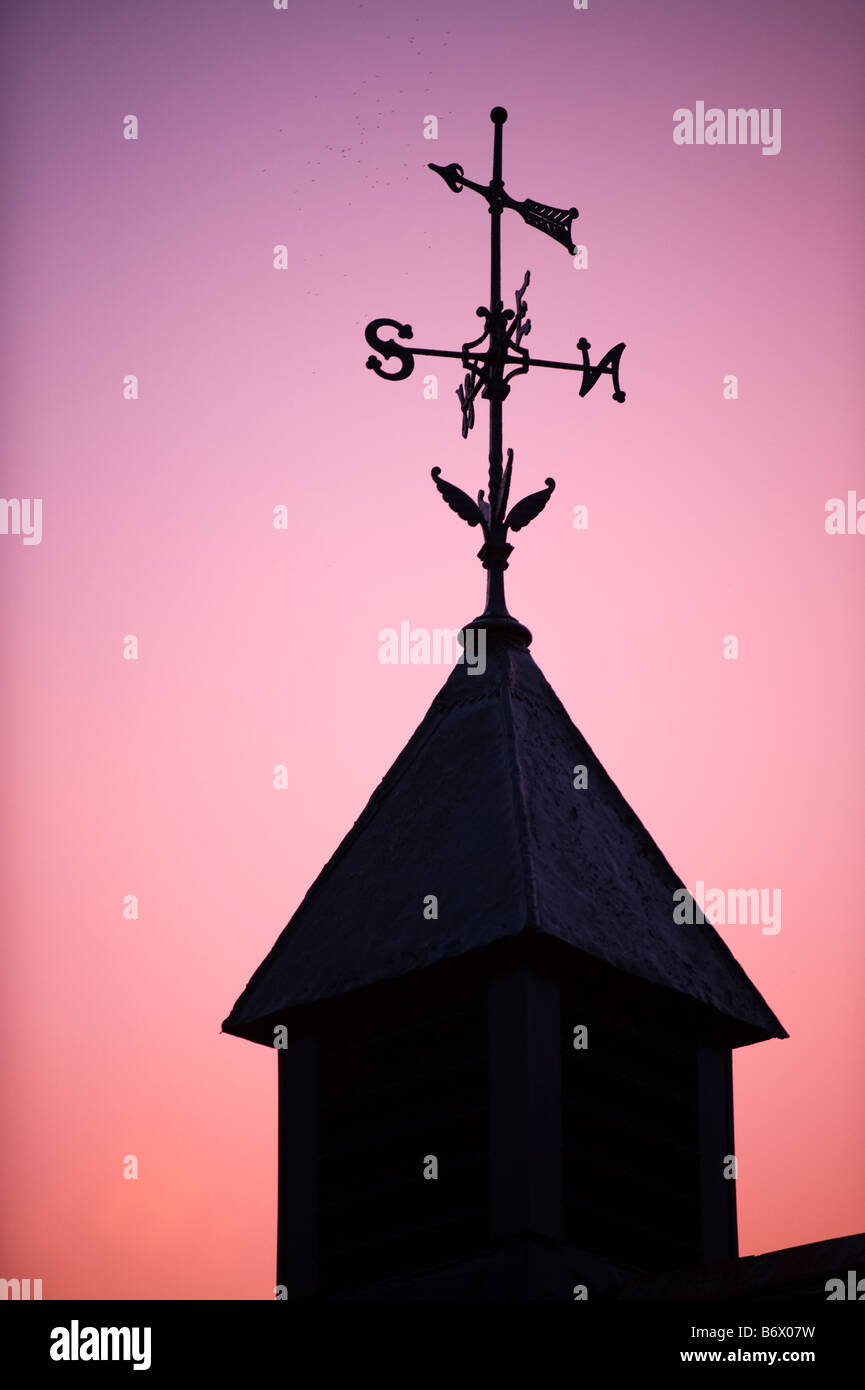 UK, Wales. Weathervane on a stable building Stock Photo