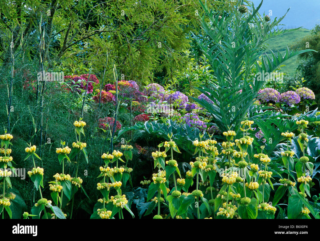 Country garden, New Zealand Stock Photo