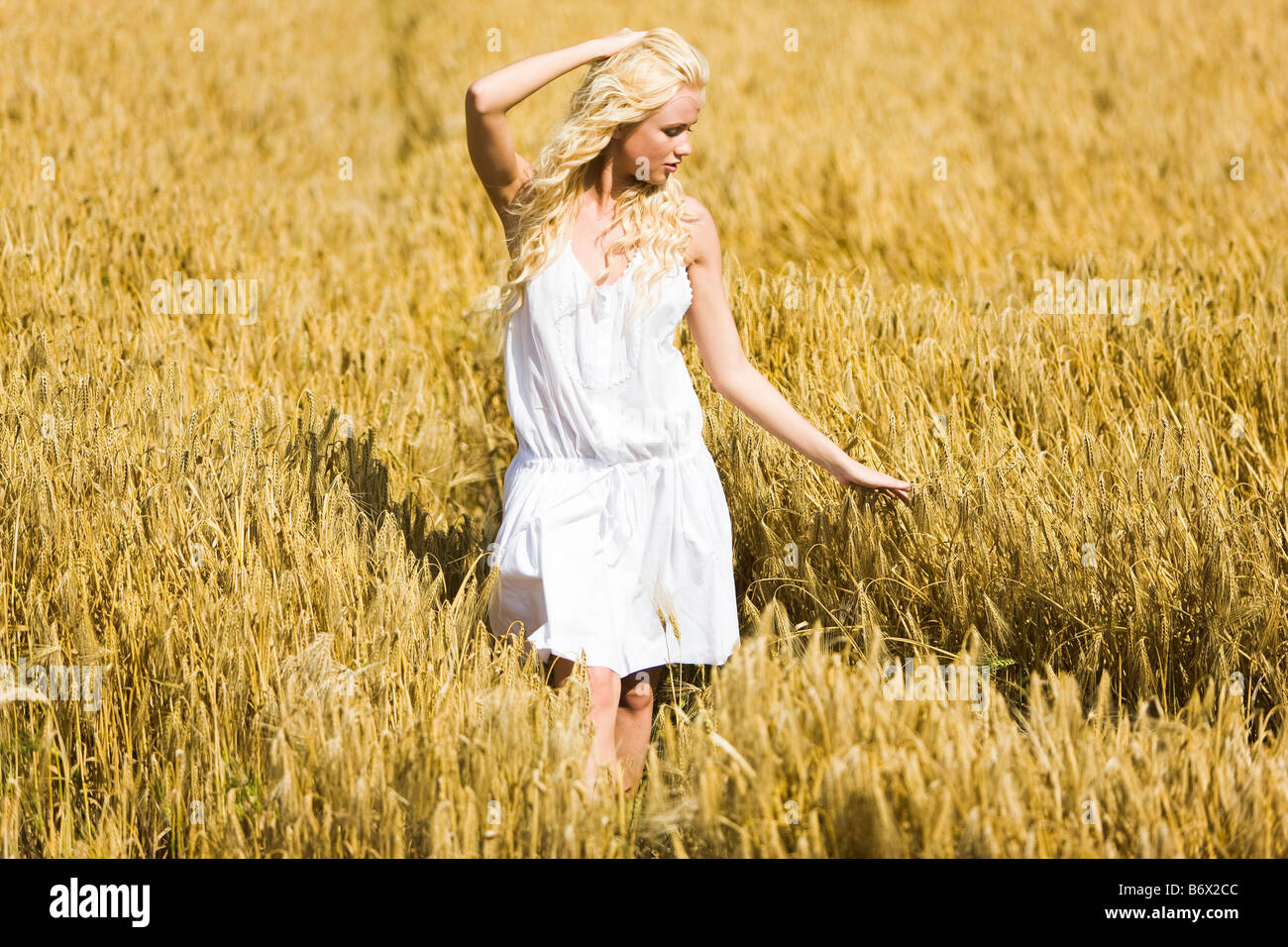 Young woman in a wheat field Stock Photo - Alamy