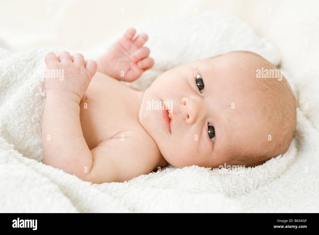 portrait of a baby Stock Photo
