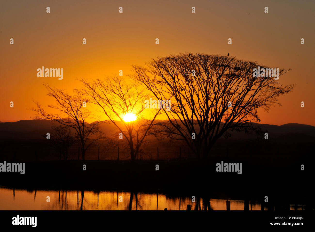 Cerrado brazil hi-res stock photography and images - Alamy