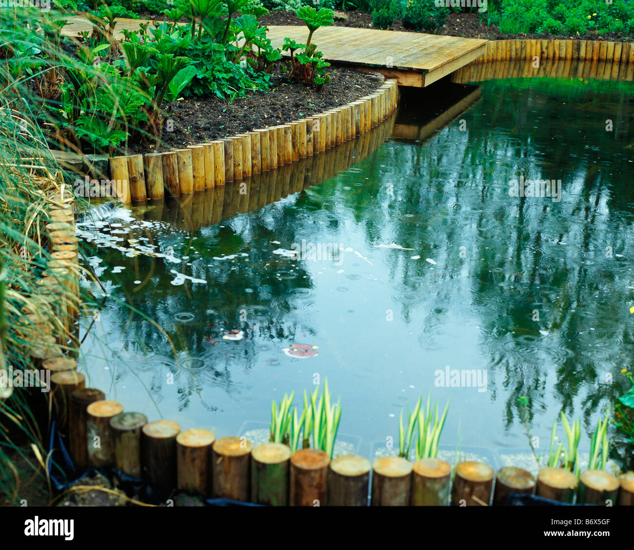 TREATED POLES CAN BE USED TO SUPPORT THE POND EDGE Stock Photo